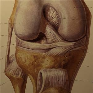 右膝關(guān)節(jié)十字韌帶扭傷、右膝關(guān)節(jié)滑膜炎、右膝關(guān)節(jié)內(nèi)側(cè)半月板損傷被鑒定為九級工傷